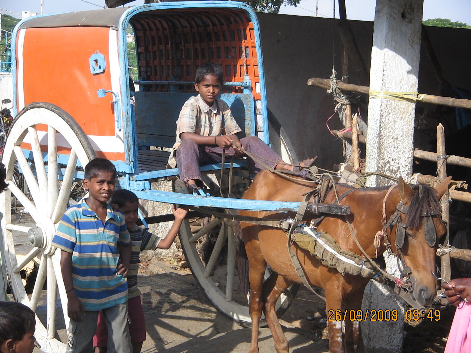 Another view of a Jutka in Bangalore, 2008. © M P V Shenoi (2008)